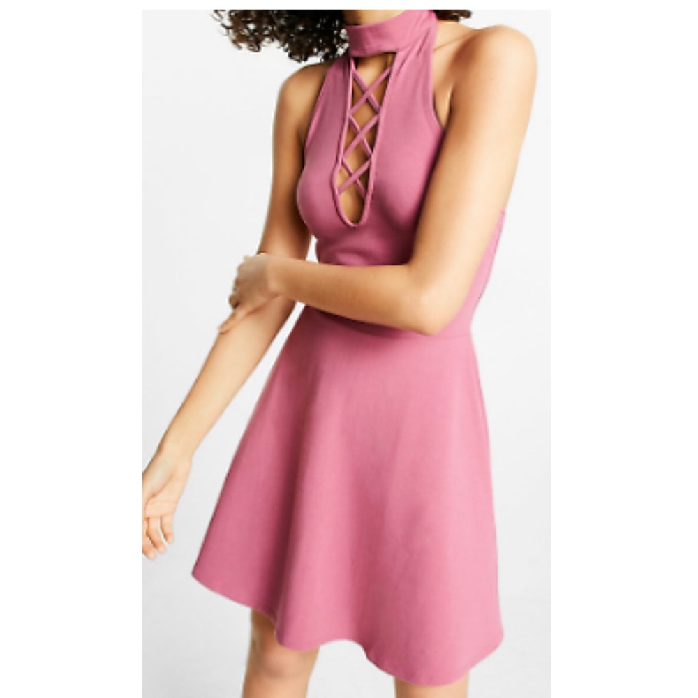 Mauve Skater Dress Express